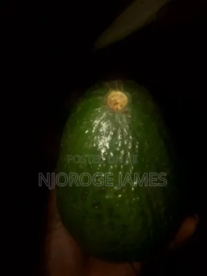 Fresh Ovacodo From the Farm