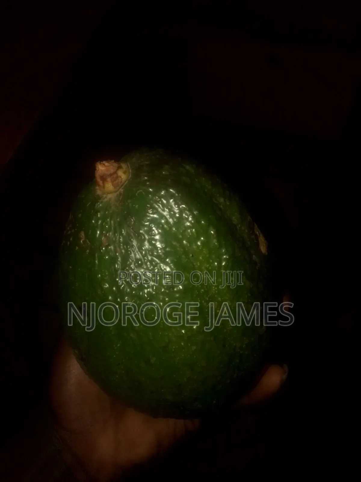 Fresh Ovacodo From the Farm