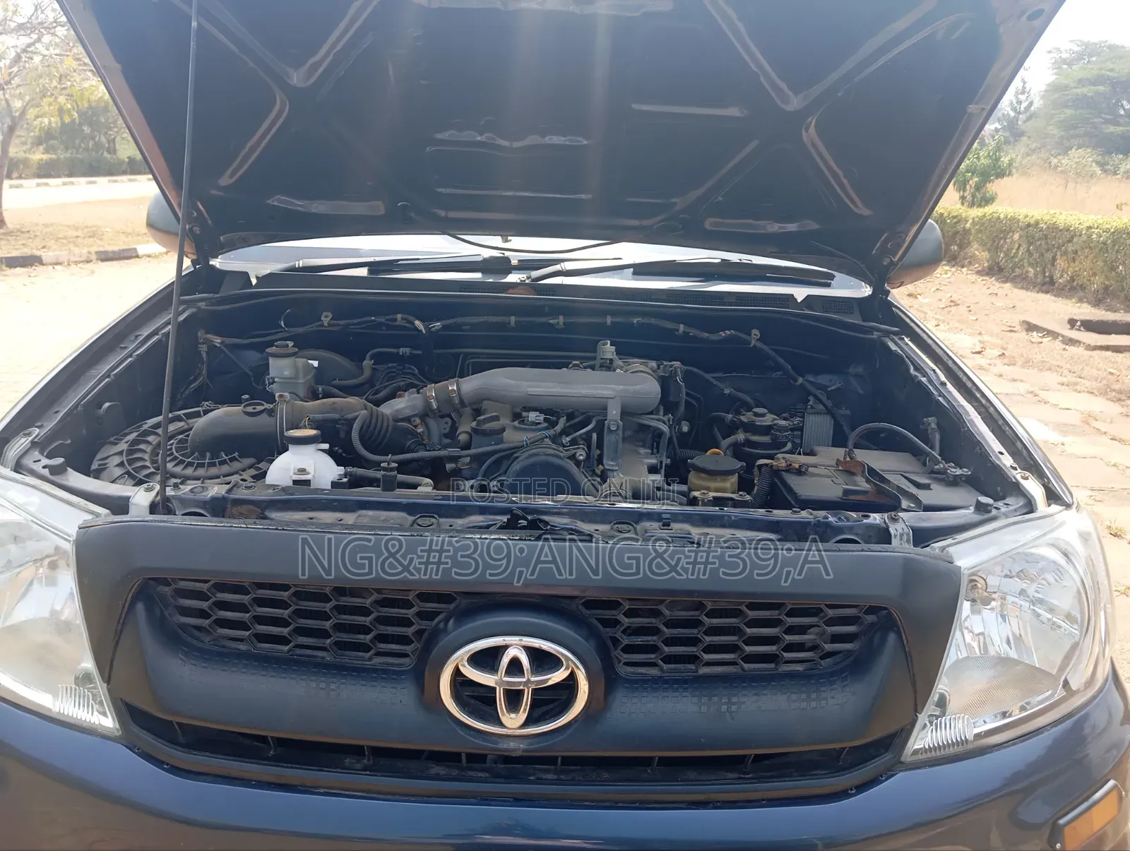 Toyota Hilux 2010 Blue