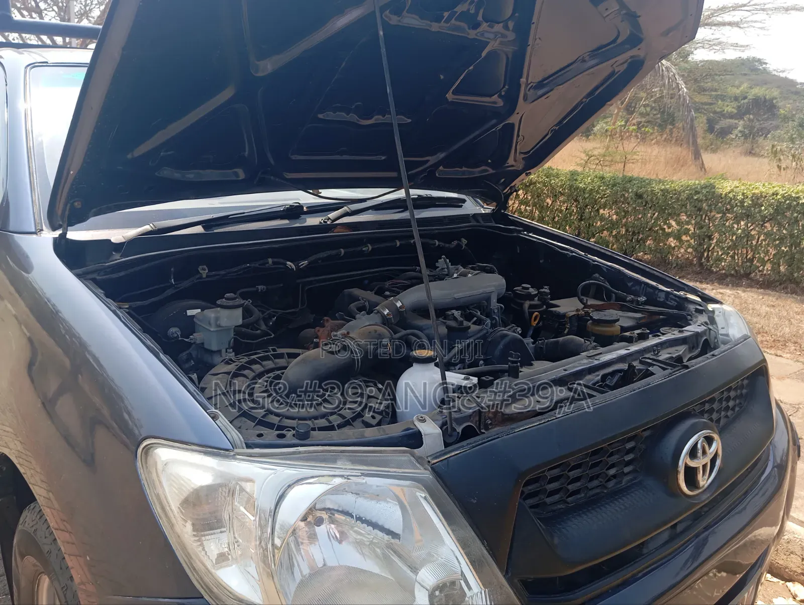 Toyota Hilux 2010 Blue