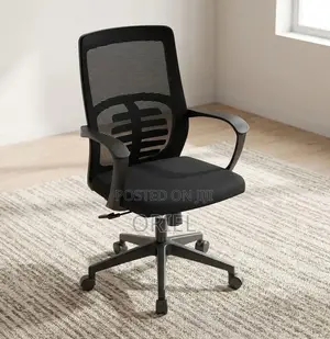 Office Chair : Mid Back Lumbar Support Staff Chair