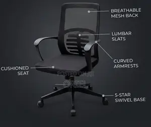 Office Chair : Mid Back Lumbar Support Staff Chair