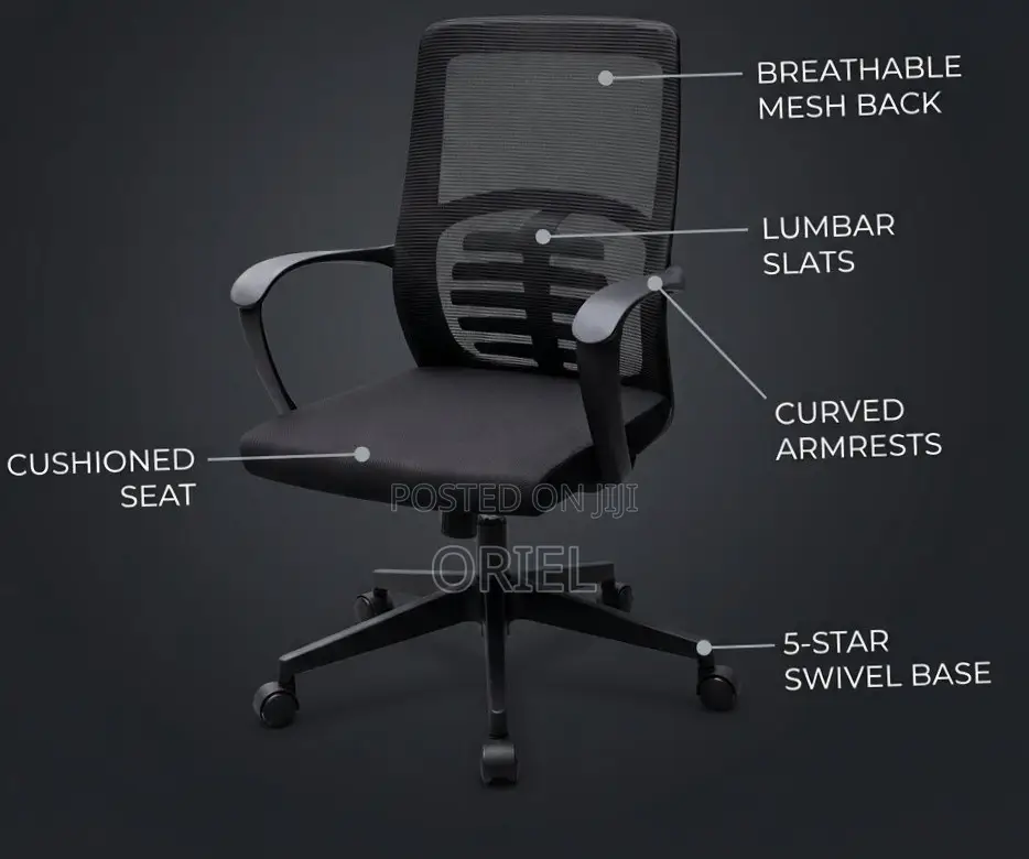 Office Chair : Mid Back Lumbar Support Staff Chair