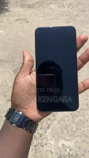 Apple iPhone XS Max 256 GB Blue