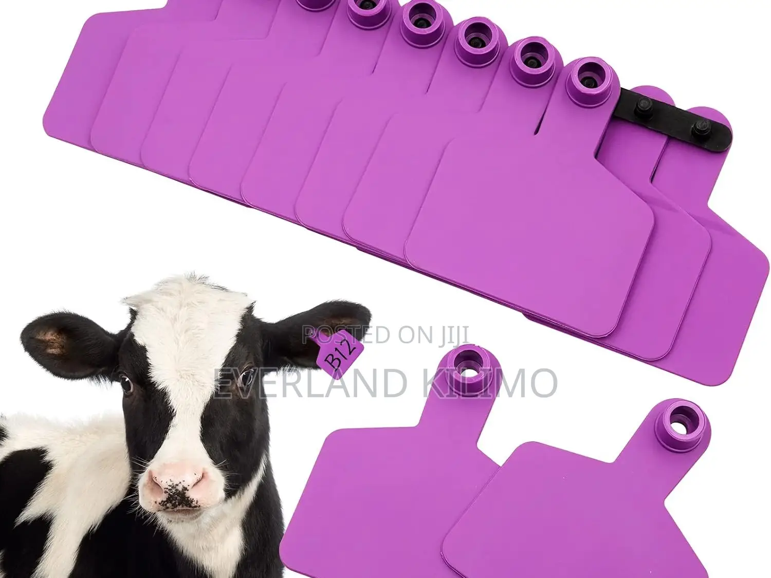 Large-Scale Cattle Identification Ear Tags - Plain