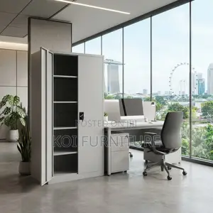 Office Cabinet; Two Doors Stainless Excutive Grey Cabinets