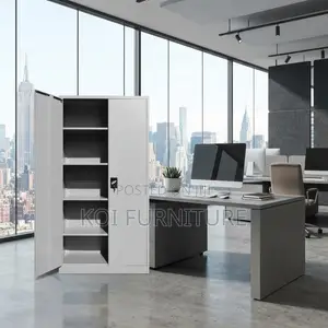 Office Cabinet; Two Doors Stainless Excutive Grey Cabinets