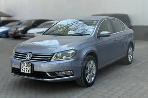 Volkswagen Passat 2013 Blue
