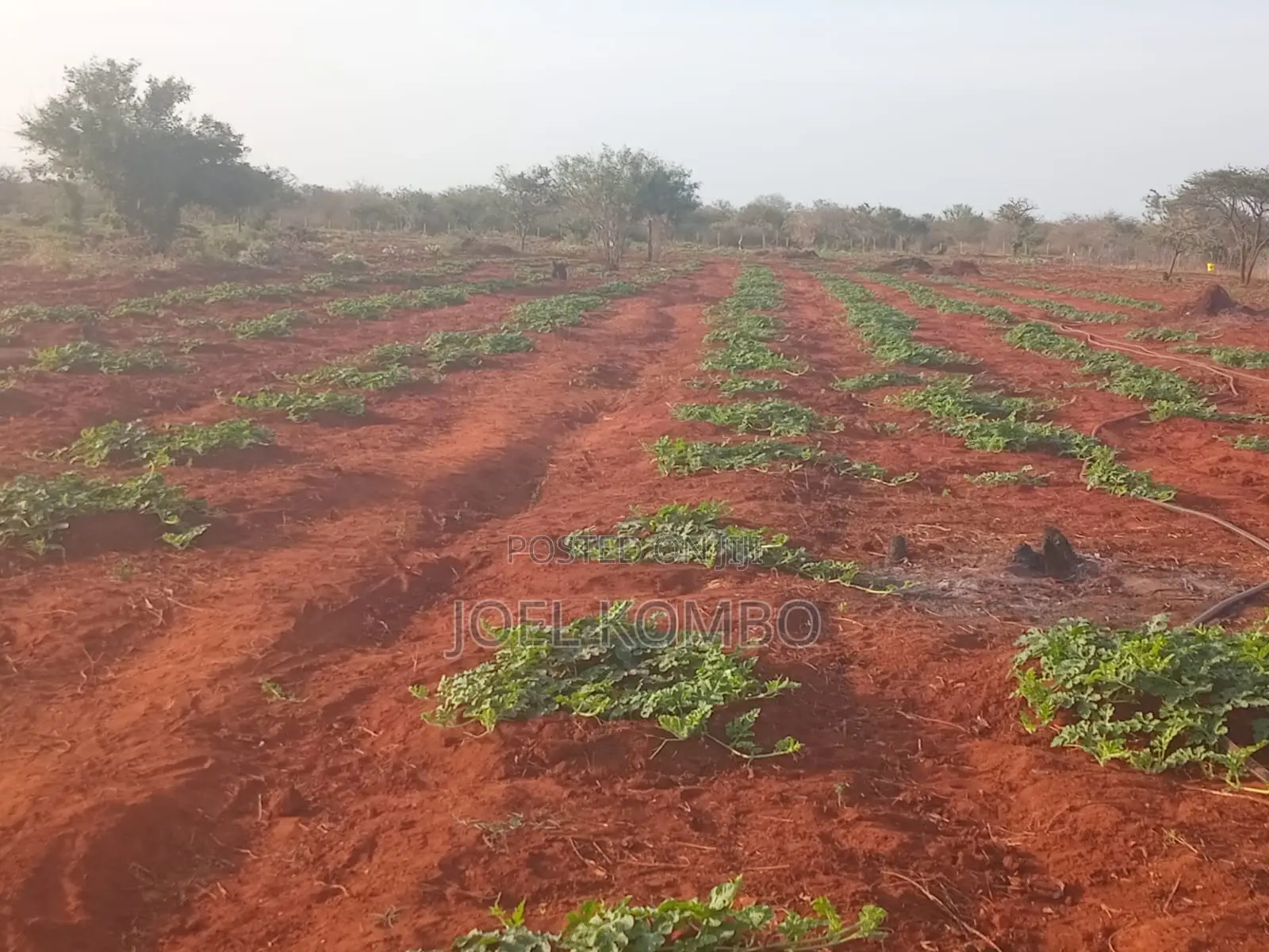 Prime 95 Acre Land Near Kambu,Makueni County.Underground Water .