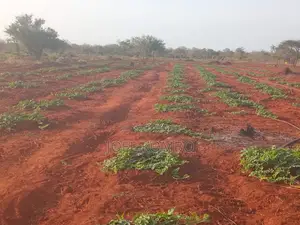 Prime 95 Acre Land Near Kambu,Makueni County.Underground Water .