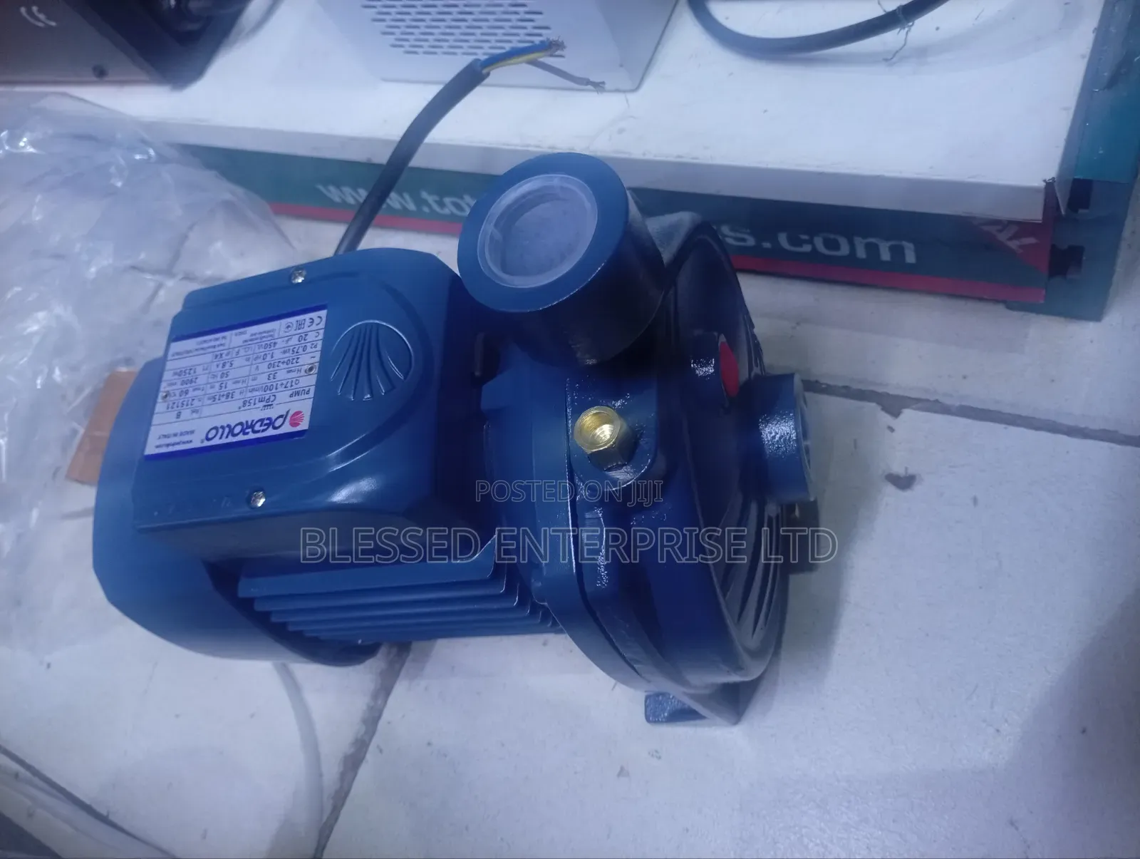 Portable 1hp Pedrollo Electric Water Pump Machine