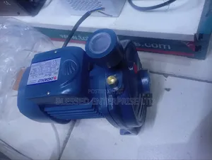 Portable 1hp Pedrollo Electric Water Pump Machine