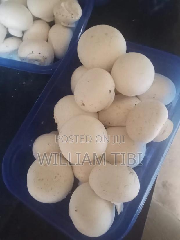 Fresh Mushrooms for Sale