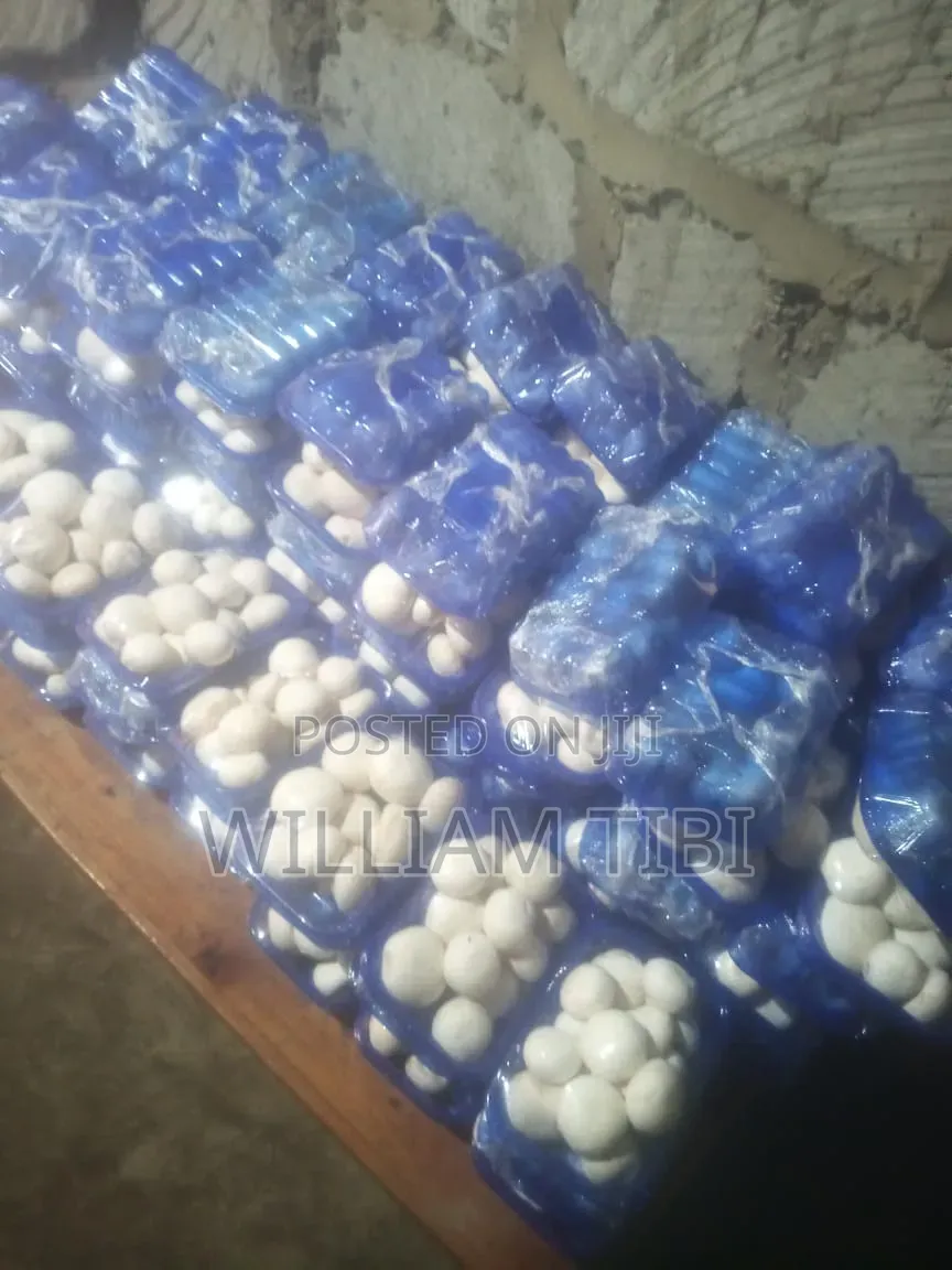 Fresh Mushrooms for Sale