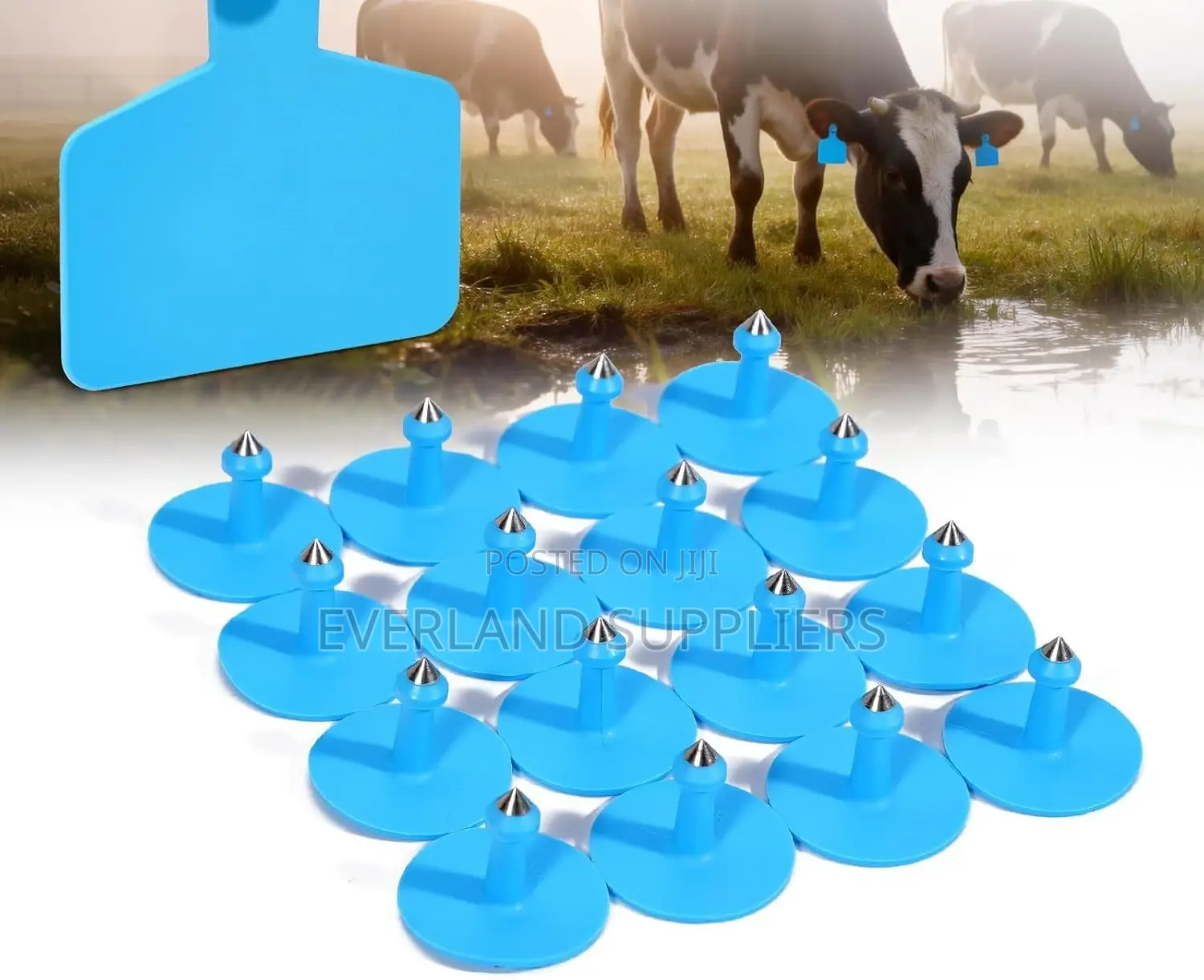 Farm- Medium Livestock Ear Tags - Plain