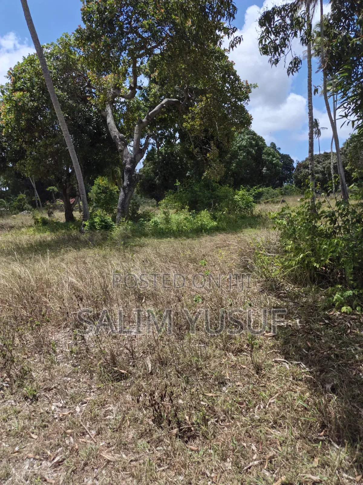 Land on Sale Matuga 4 Acres 3m Per Acre