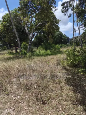 Land on Sale Matuga 4 Acres 3m Per Acre