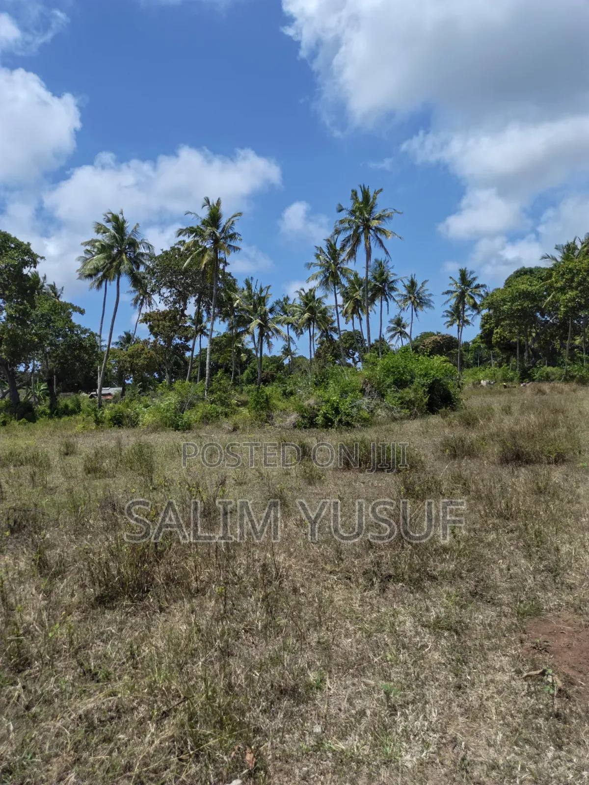 Land on Sale Matuga 4 Acres 3m Per Acre
