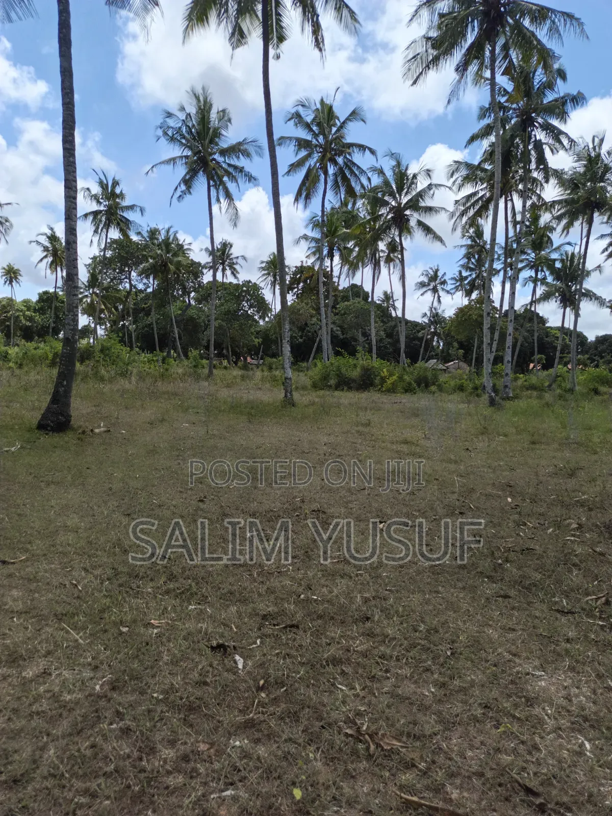 Land on Sale Matuga 4 Acres 3m Per Acre