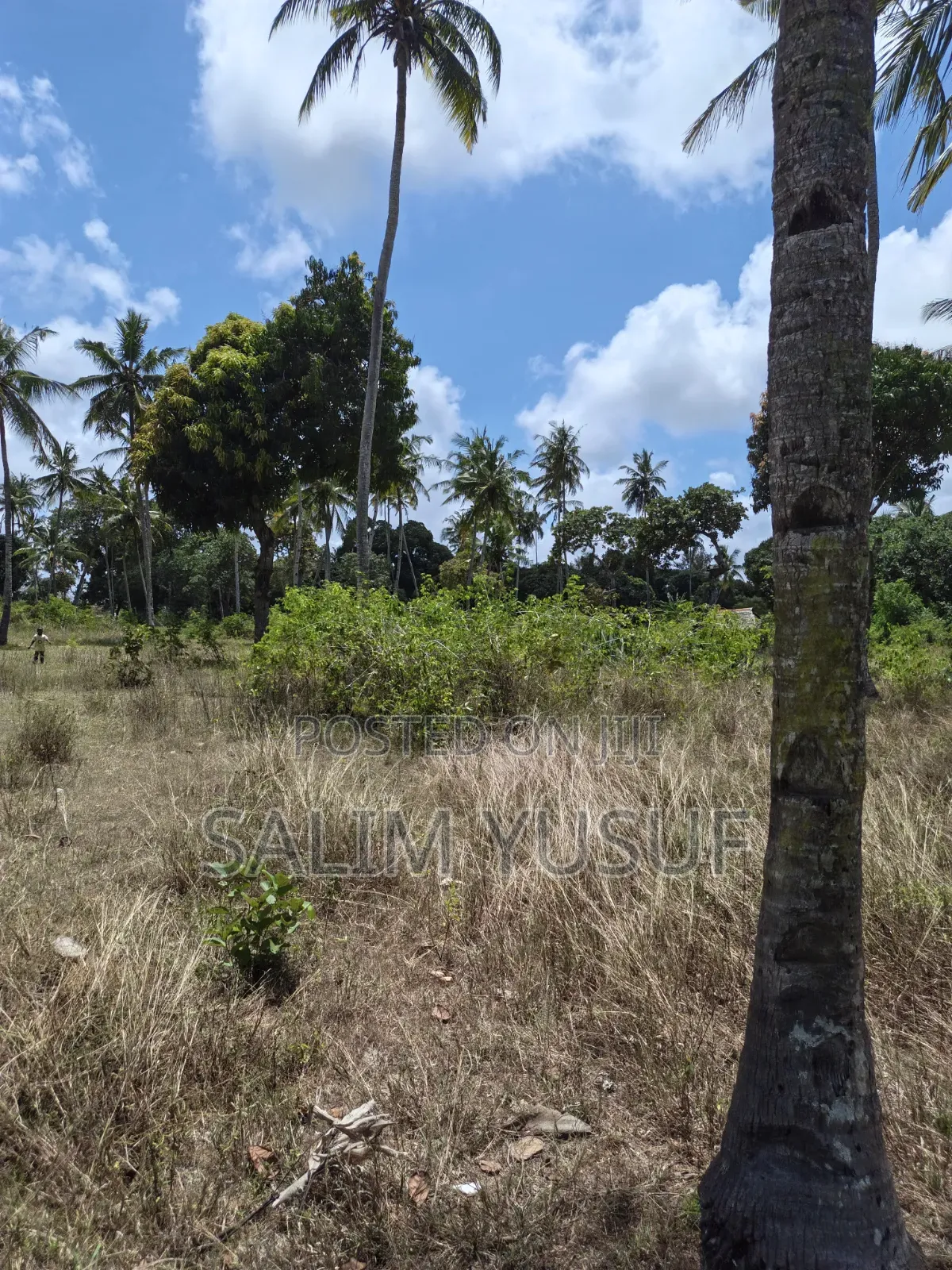 Land on Sale Matuga 4 Acres 3m Per Acre