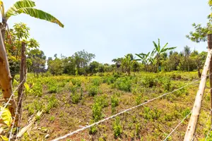 Prime Residential Plots for Sale in Kikuyu, Chungamali