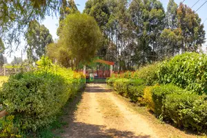 Commercial Plot for Sale in Kikuyu, Acre Tano