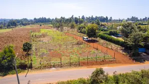 Prime Residential Plots Fronting Tarmac for Sale in Kikuyu, Kerwa