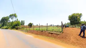 Prime Residential Plots Fronting Tarmac for Sale in Kikuyu, Kerwa