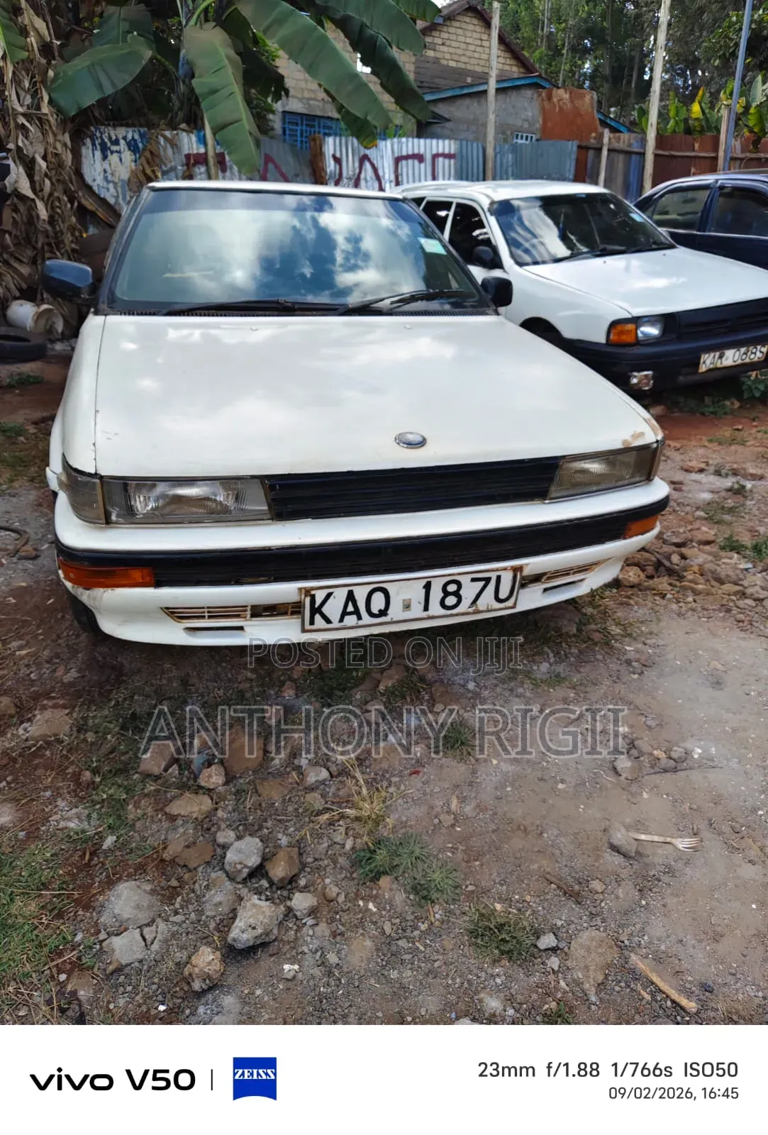 Toyota Corolla 1995 White