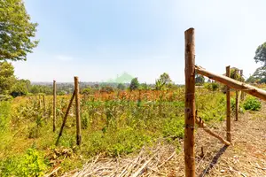 Residential Plots for Sale in Kikuyu, Chungamali
