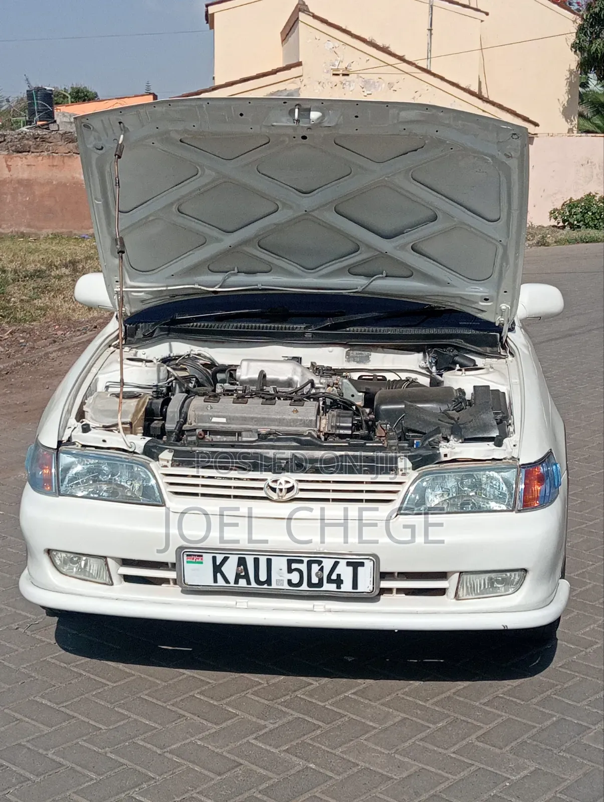 Toyota Corolla 2000 White