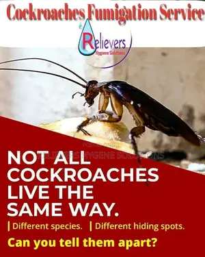 Cockroaches Spraying Services