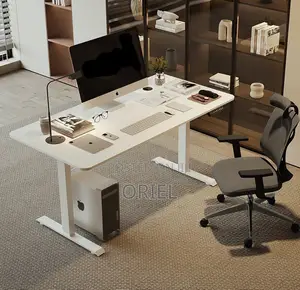 Office Desk : 120CM Sit-Stand Electric Desk