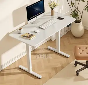 Office Desk : 120CM Sit-Stand Electric Desk