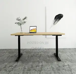 Office Desk : 120CM Sit-Stand Electric Desk