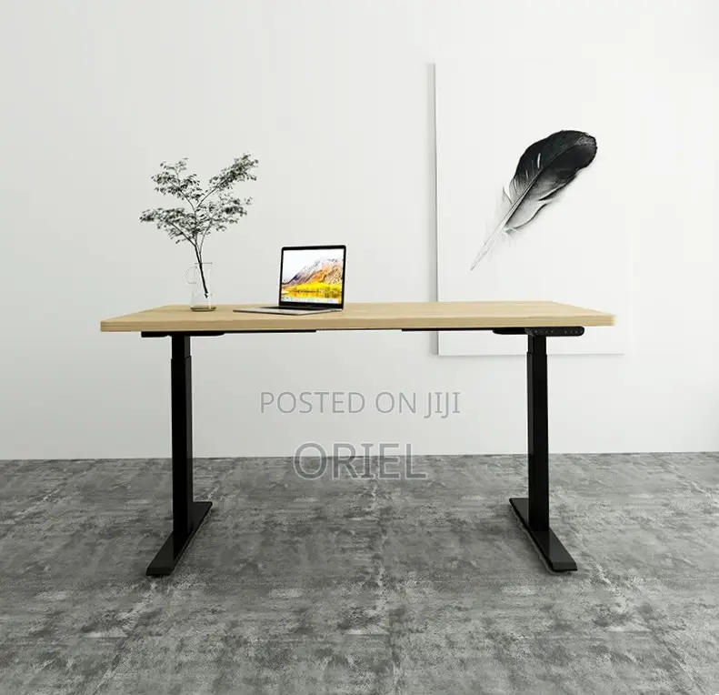 Office Desk : 120CM Sit-Stand Electric Desk