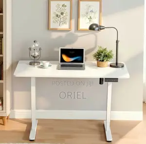 Office Desk : 120CM Sit-Stand Electric Desk