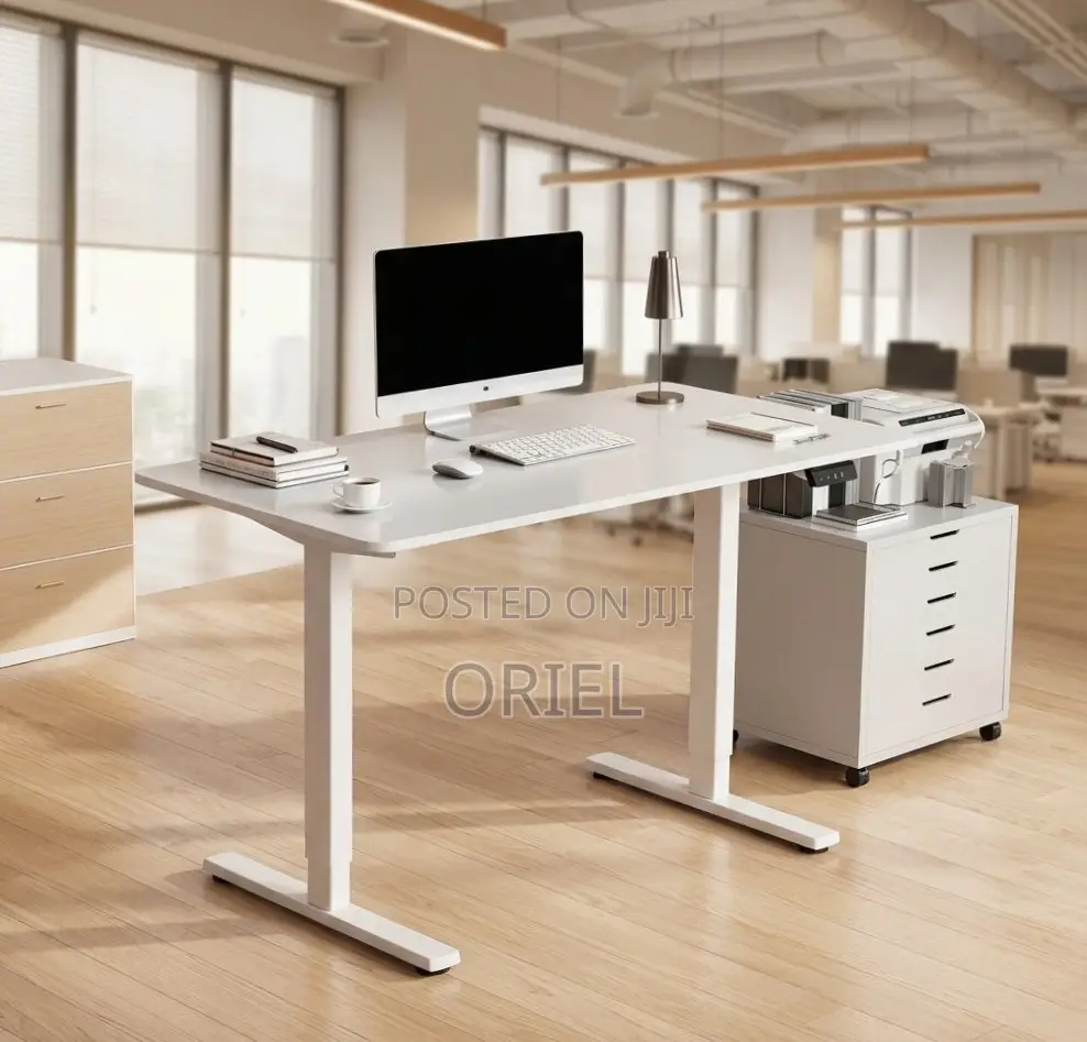 Office Desk : 120CM Sit-Stand Electric Desk