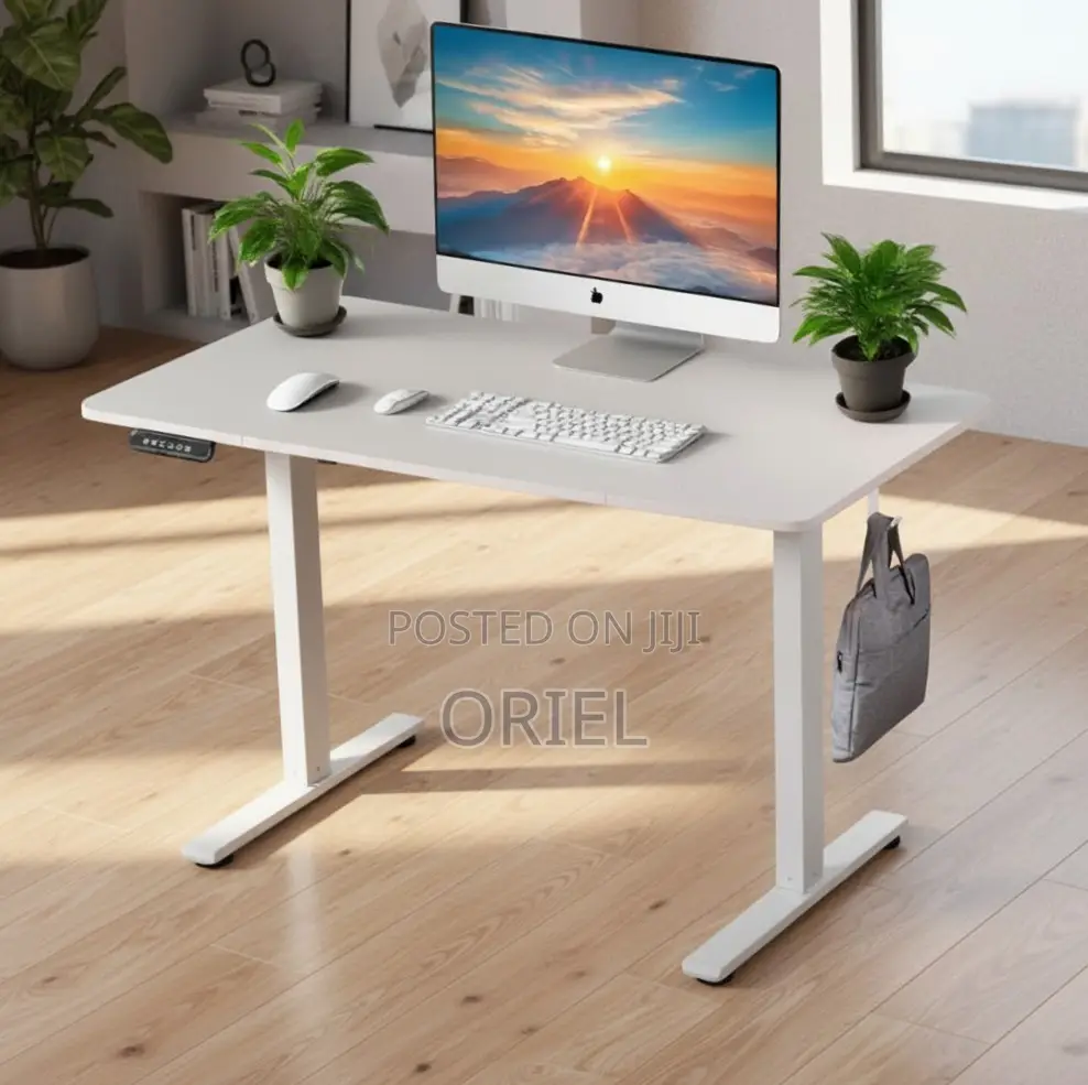 Office Desk : 120CM Sit-Stand Electric Desk