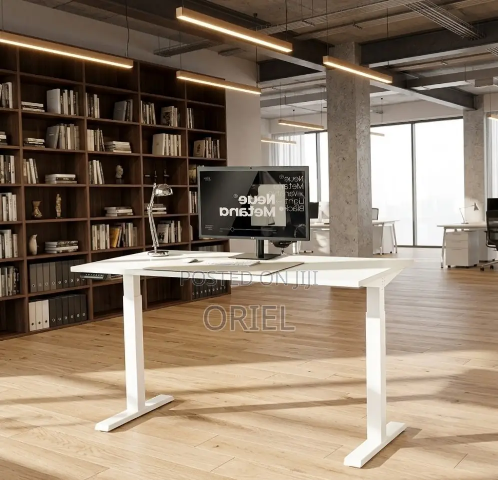 Office Desk : 120CM Sit-Stand Electric Desk