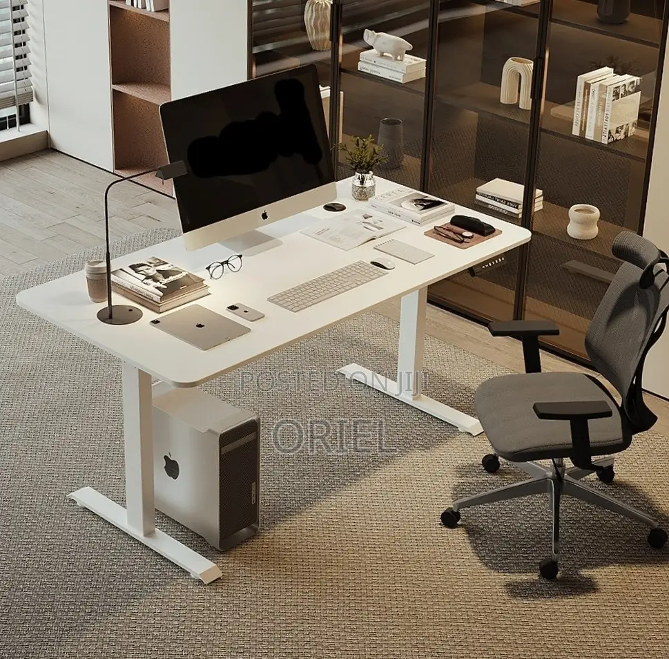 Office Desk : 120CM Sit-Stand Electric Desk