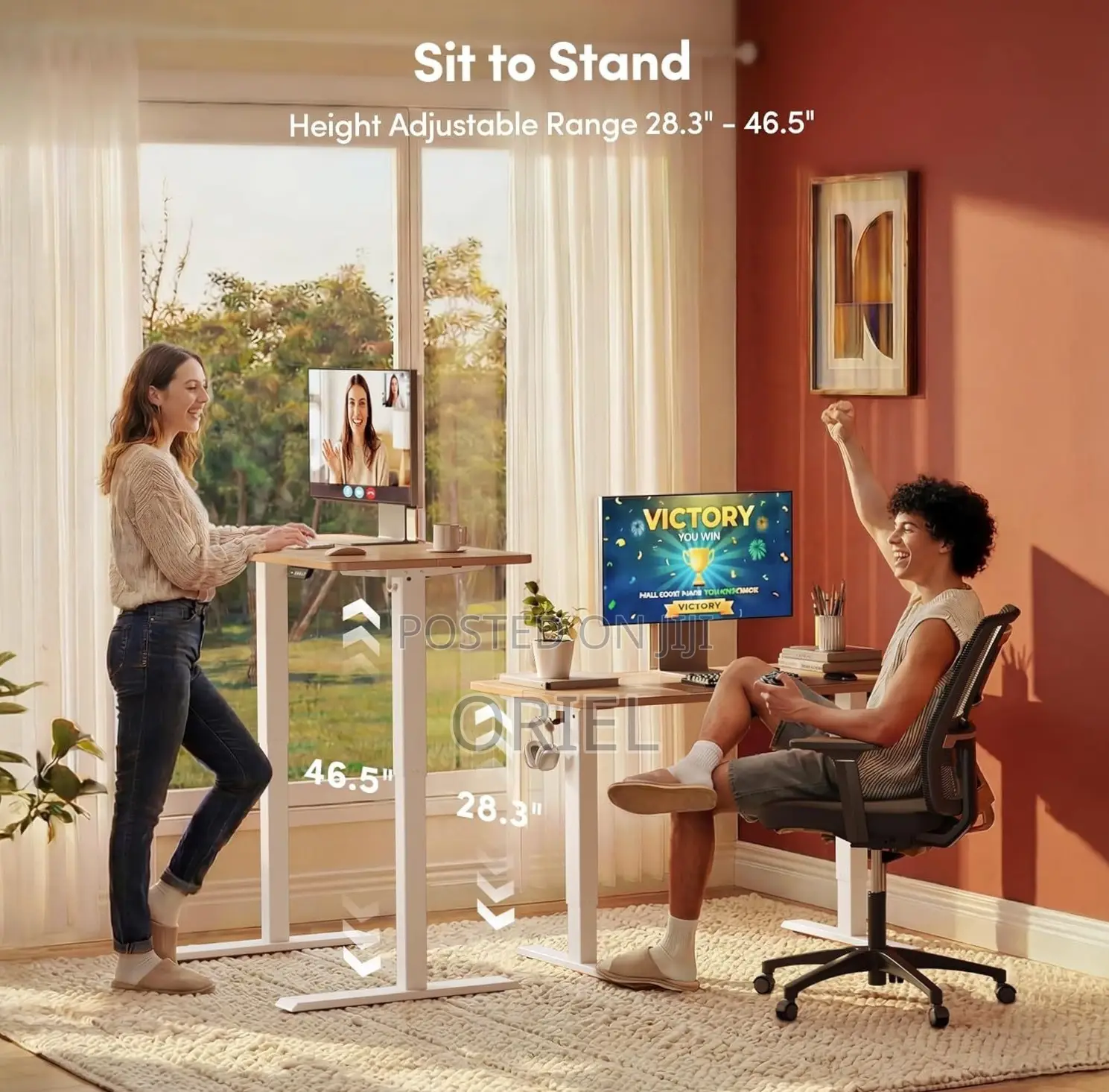 Office Desk : 120CM Sit-Stand Electric Desk