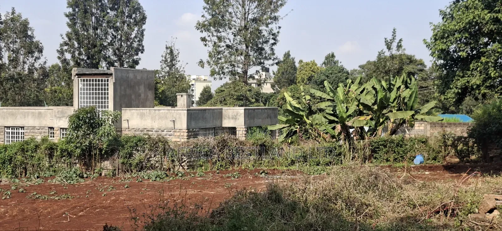 50×100 Plot for Lease – Kabete, Jathaini / Mwimuto, Kiambu County