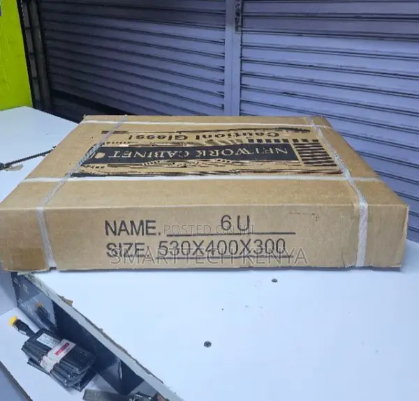6U Data Network Cabinet 530×300×400mm Rack Mount Cabinet