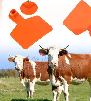 Laser-Printed Herd Recognition Medium Ear Tags