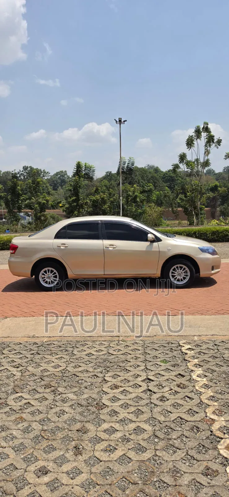 Toyota Axio 2010