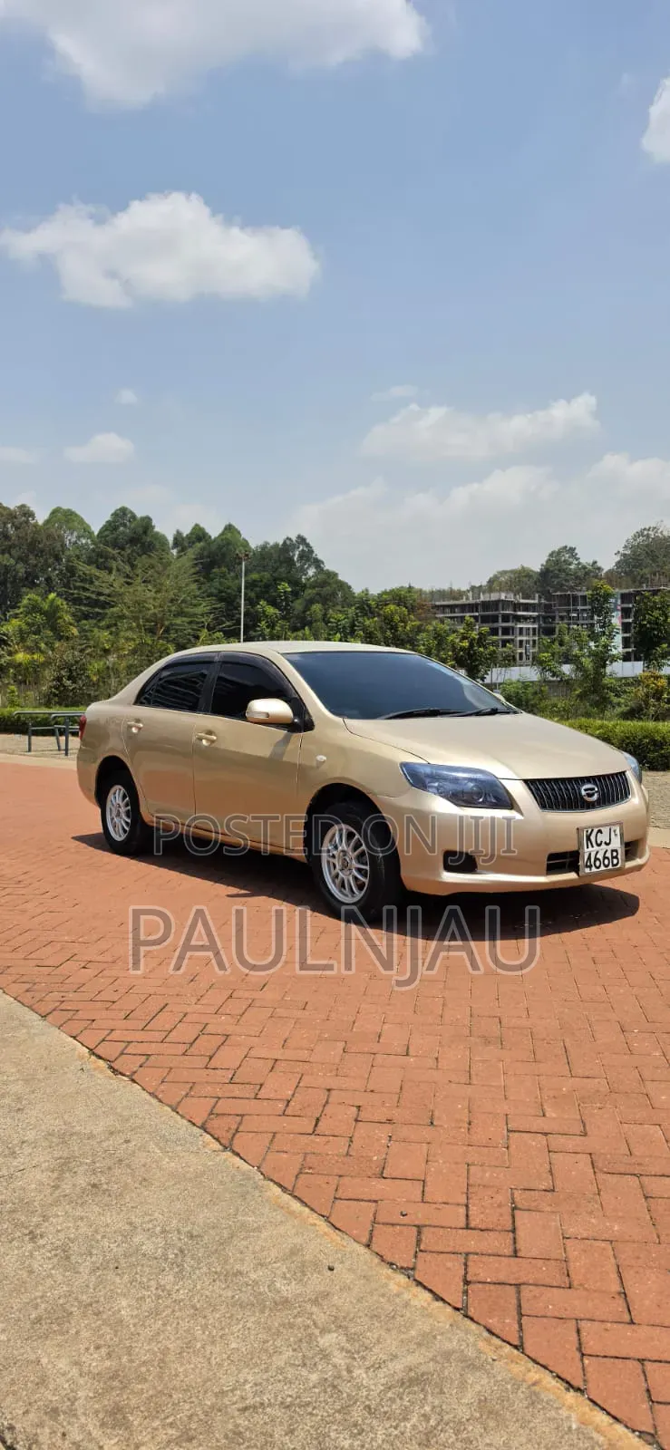 Toyota Axio 2010