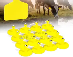 Large Plain Ear Tags for Sorting Cows