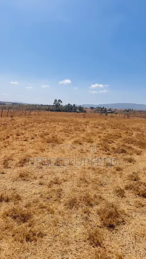 Owner Selling 50×100 Plot Joska, Ndovoini KSH Ready Title Deed