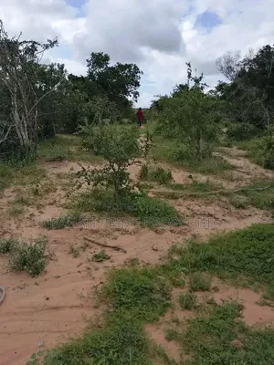150-Acre of Land